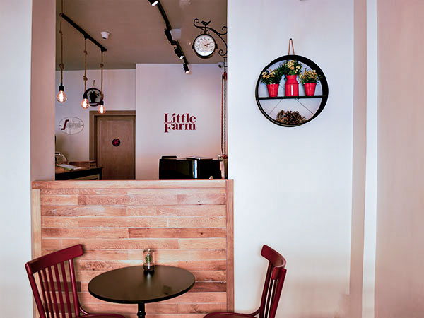 cafe-design-ecofriendly